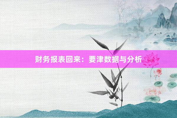 财务报表回来：要津数据与分析